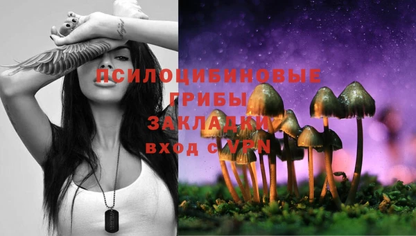 альфа пвп Белокуриха