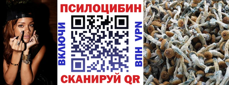 Галлюциногенные грибы Psilocybe  Волгореченск 