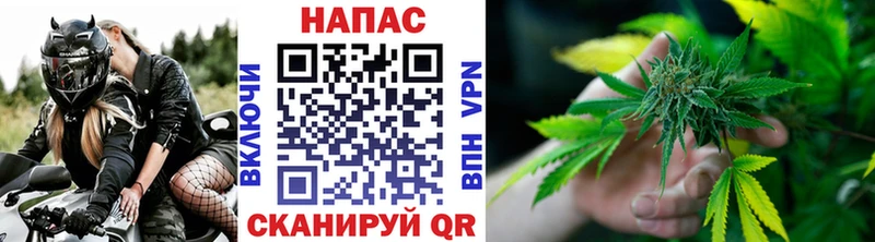 наркота  Волгореченск  Шишки марихуана Amnesia 